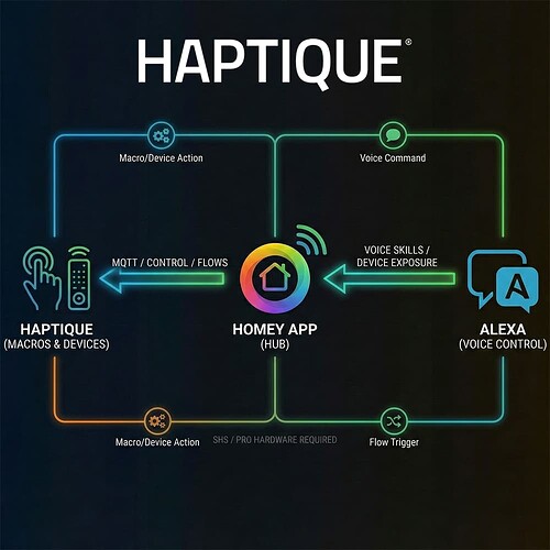 Homey Alexa haptique